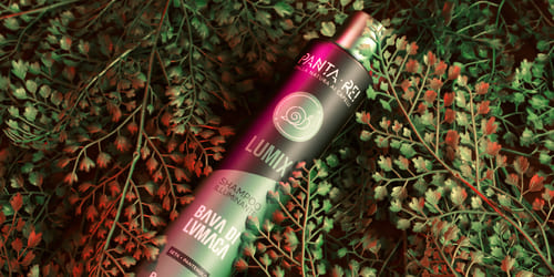 Shampoo a base di bava di lumaca, benefici e quando utilizzarlo.